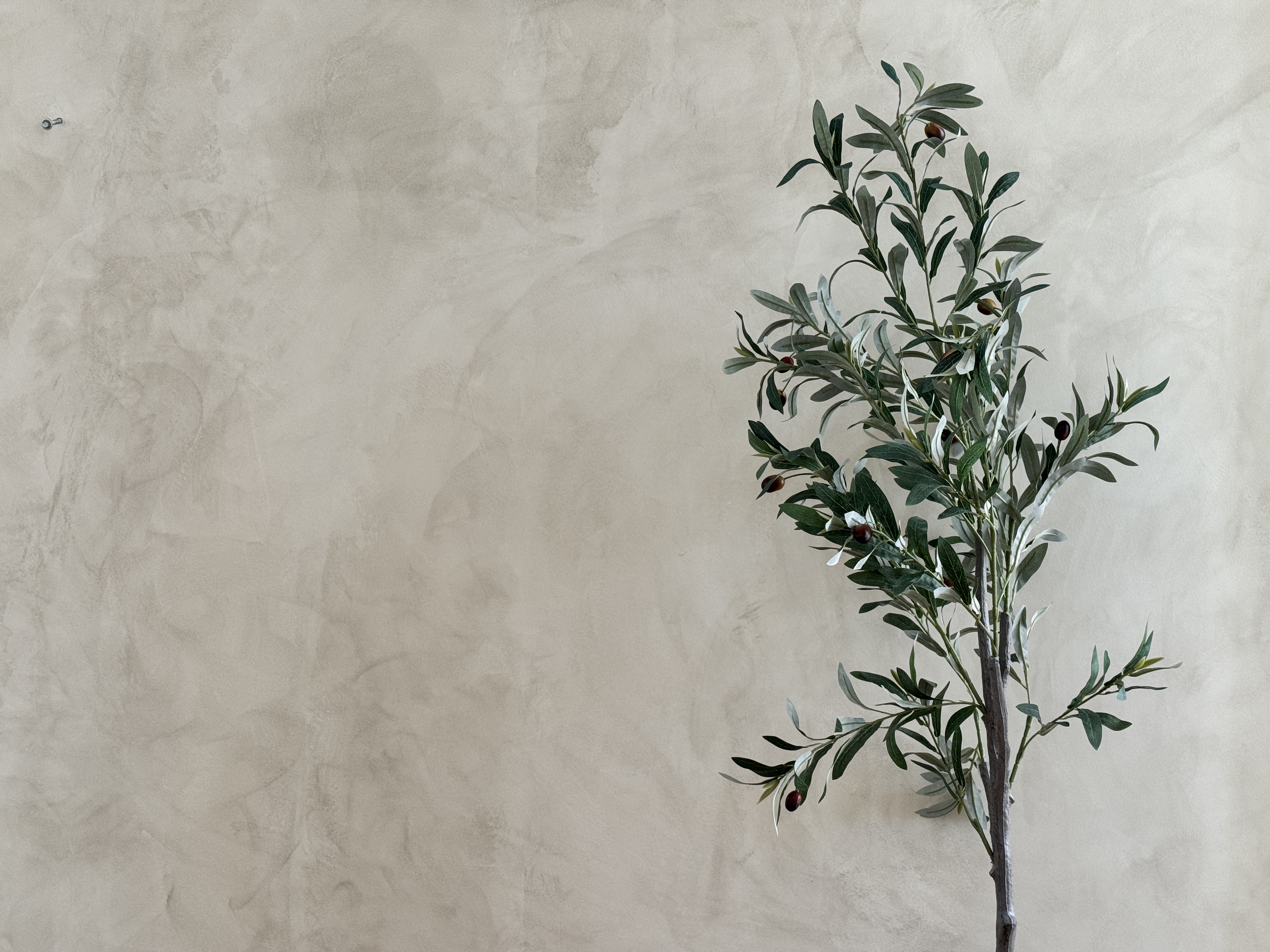 Venetian Plaster